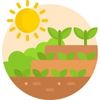 Step Garden