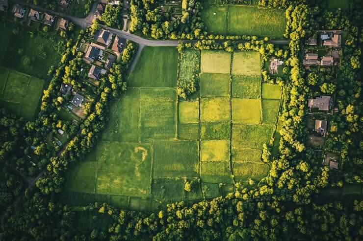 Artist's impression of gated plotted layout, shown for Prestige Marigold Phase 2